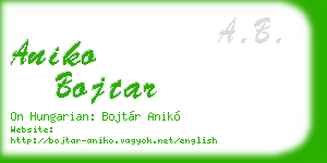 aniko bojtar business card